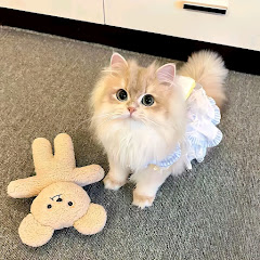 HotSauceAddictAnonymous 