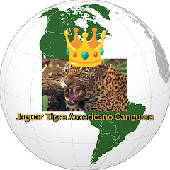 Jaguar Tigre Americano Cangussu🐆👑