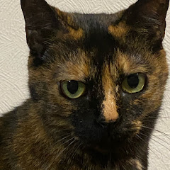 わわ