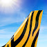 IyeGzfh1HFc-channel-avatar-Tigerair Taiwan