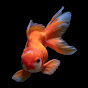 fisherbait_mt Avatar