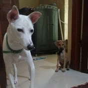 PATTU NACHIYAR