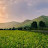 @natureworldssss
