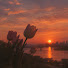 uvrLUxbQ-7c-channel-avatar-Nile kim