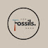 69f3_62aayA-channel-avatar-For Fossil's Sake