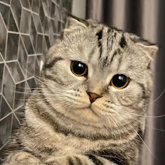 SimonCat8