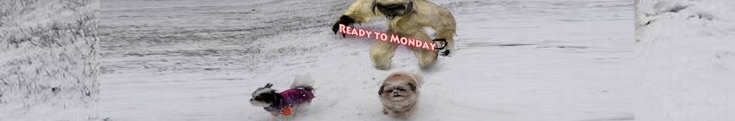 Ready to Monday YouTube channel avatar