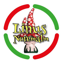 Linus Noremalm 3.0 net worth
