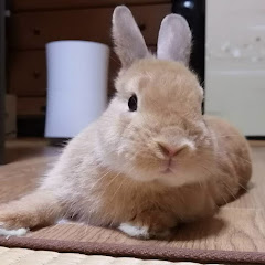 なりりんご