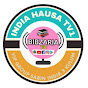 INDIA HAUSA  TV1 logo