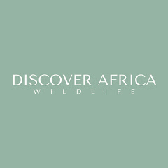 Discover Africa - Latest Sightings