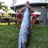 mfqKcedev6o-channel-avatar-808-ocean-hunter