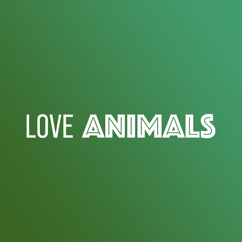 Love Animals
