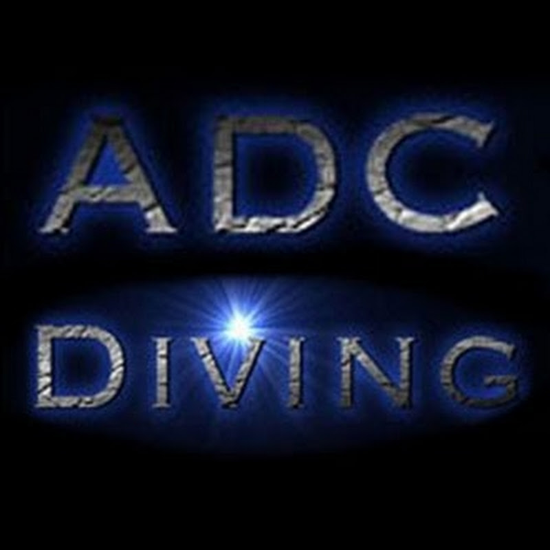 ADC diving duiken Antwerpen, sharks mantas dolfins