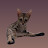 youtube avatar