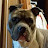 @1badombre82 Avatar