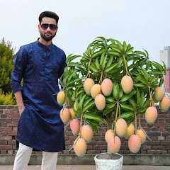 Channel thumbnail for Mita'SGardeningTricks