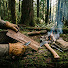 fayhu1IYjoc-channel-avatar-The Quiet Survivalist