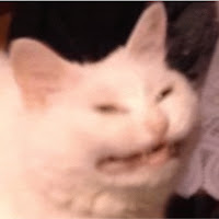 Poll from cat