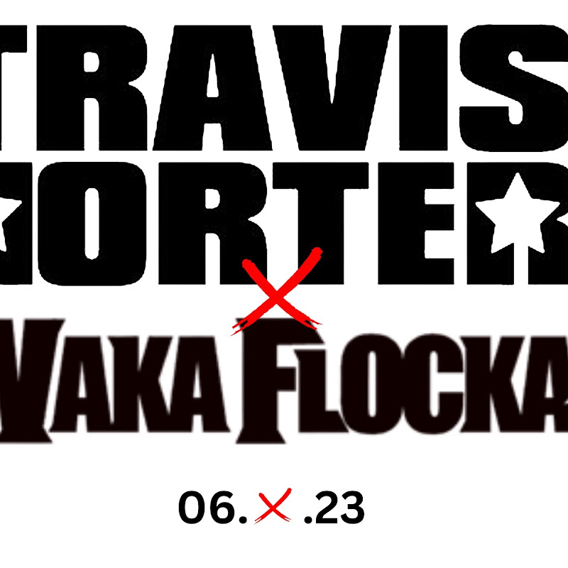 Travis Porter