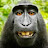 @yabadabadooo01-u9c