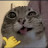 @larrycat-o2l