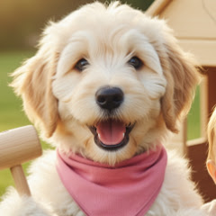 💫LDW-Love Dogs World-
