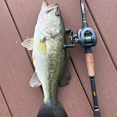HarrisFISHING