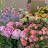 @김은영-t5g