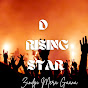D RISING STAR ..... logo