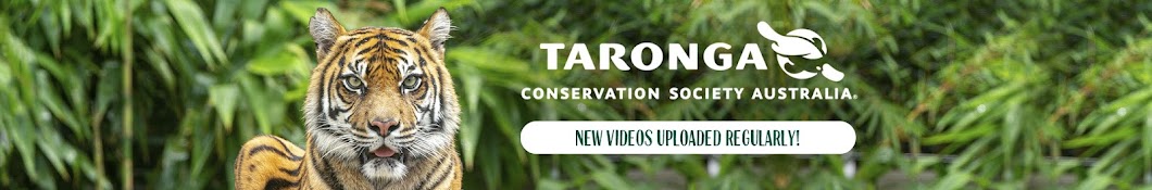 Taronga Zoo Sydney Avatar del canal de YouTube