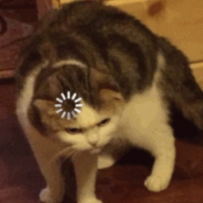 ElizaEclipse