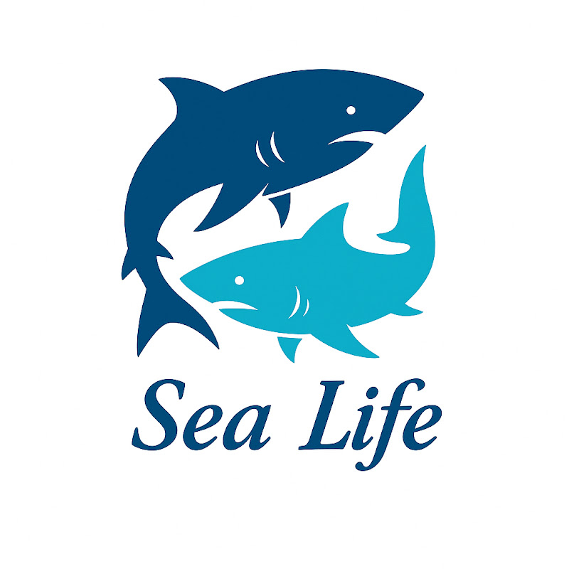 Sea Life View