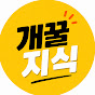 개꿀지식