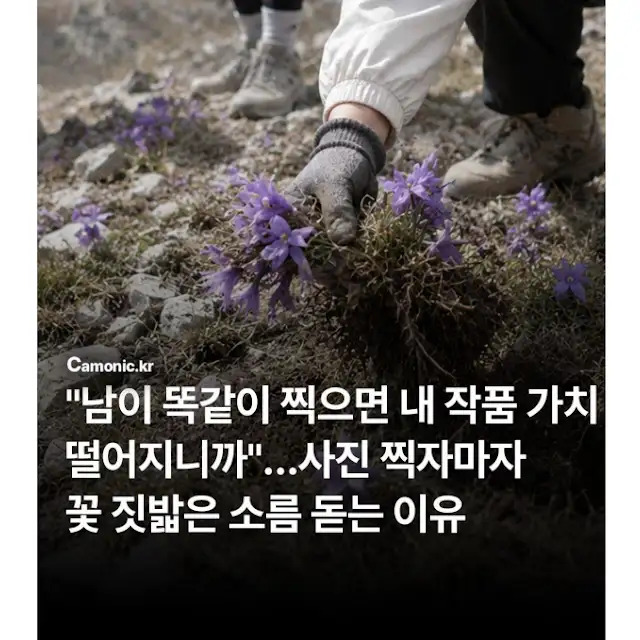 BlockNote image