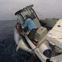 ムテキチャンネル