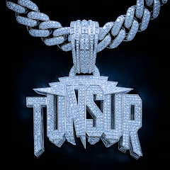 Gvnsor