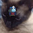 @BalooeIvyXD-ys7qj
