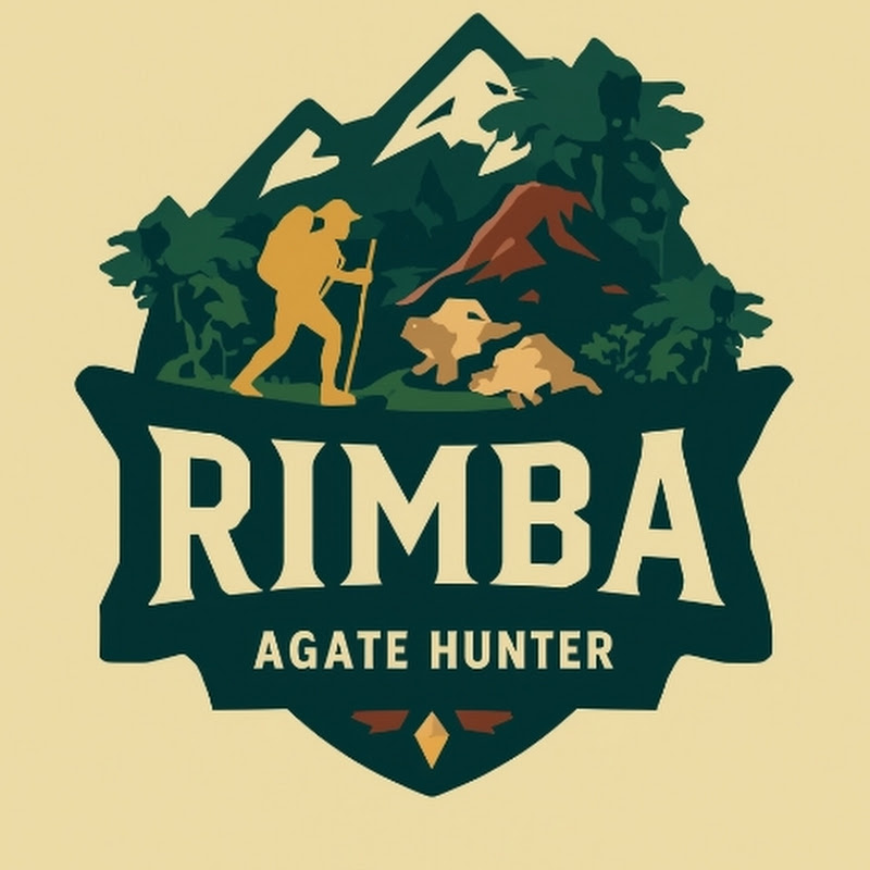 Rimba Story shorts 