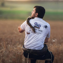 טבע ובעלי חיים,ישראל חיות וטבע