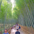 QTIB6ohRRSg-channel-avatar-Vista Walks