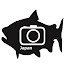 k3G6NBjFqwE-channel-avatar-BFSC Japan