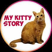 My Kitty Story