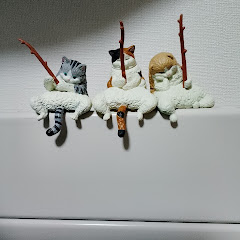 お金だーいすき‼️