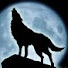 t_1sy_CaVHE-channel-avatar-thenighthowlers
