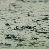 Rain Sounds