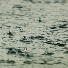 Rain Sounds