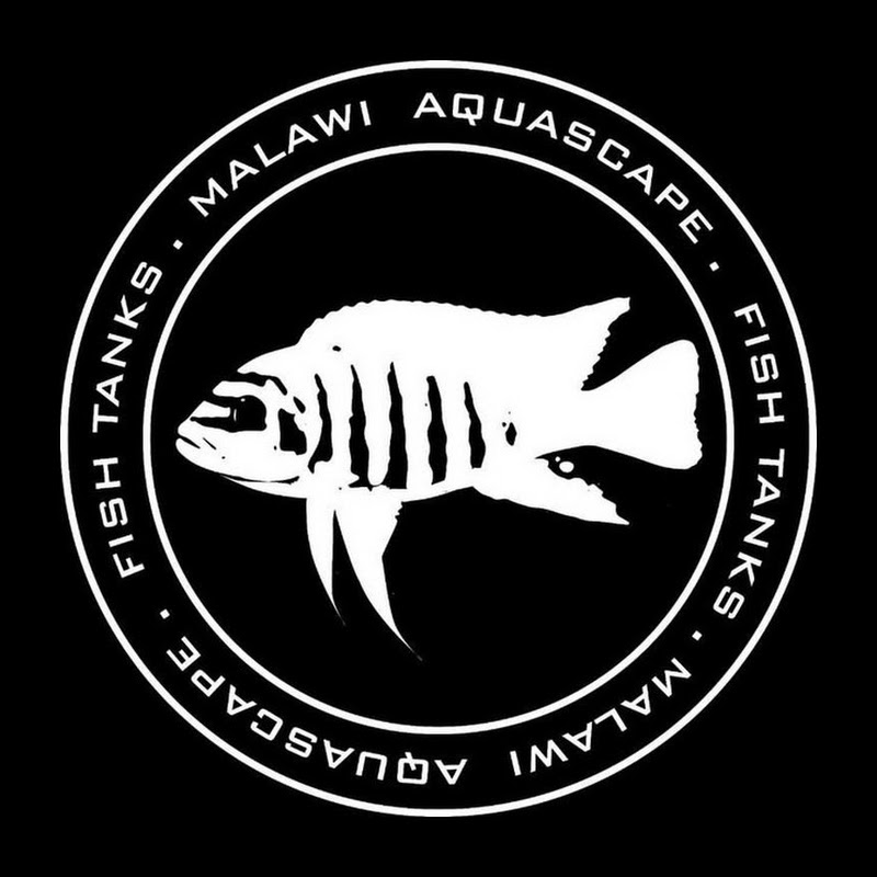 Malawi Aquascape