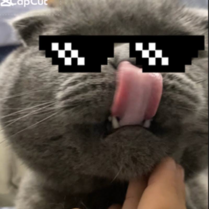 Ice Ayaz