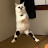 @nippon2026